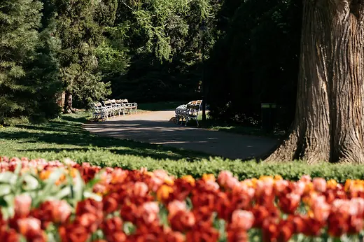 Fleurs dans le Türkenschanzpark