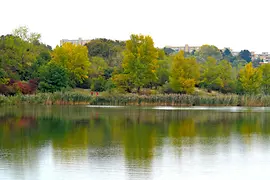 Erholungsgebiet Wienerberg Teich und Bäume