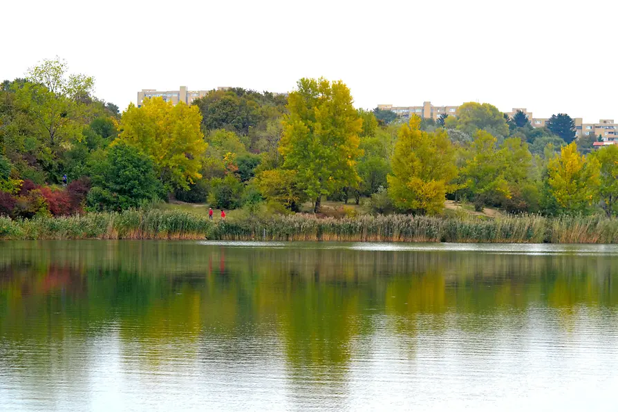 Zone de loisirs Wienerberg, étang et arbres