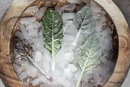 Winter vegetables on ice