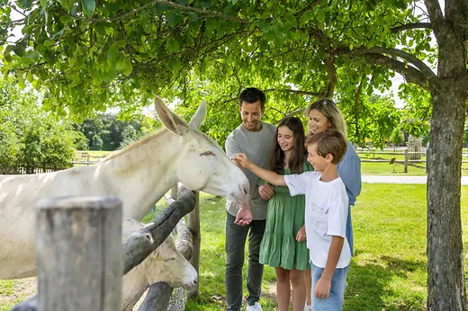 Familie streichelt Esel