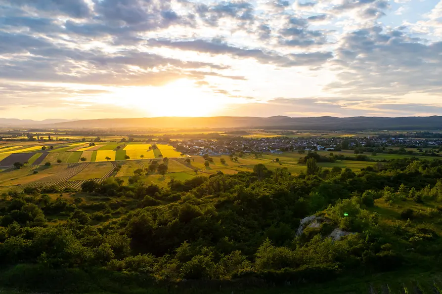 Landschaft im Burgenland