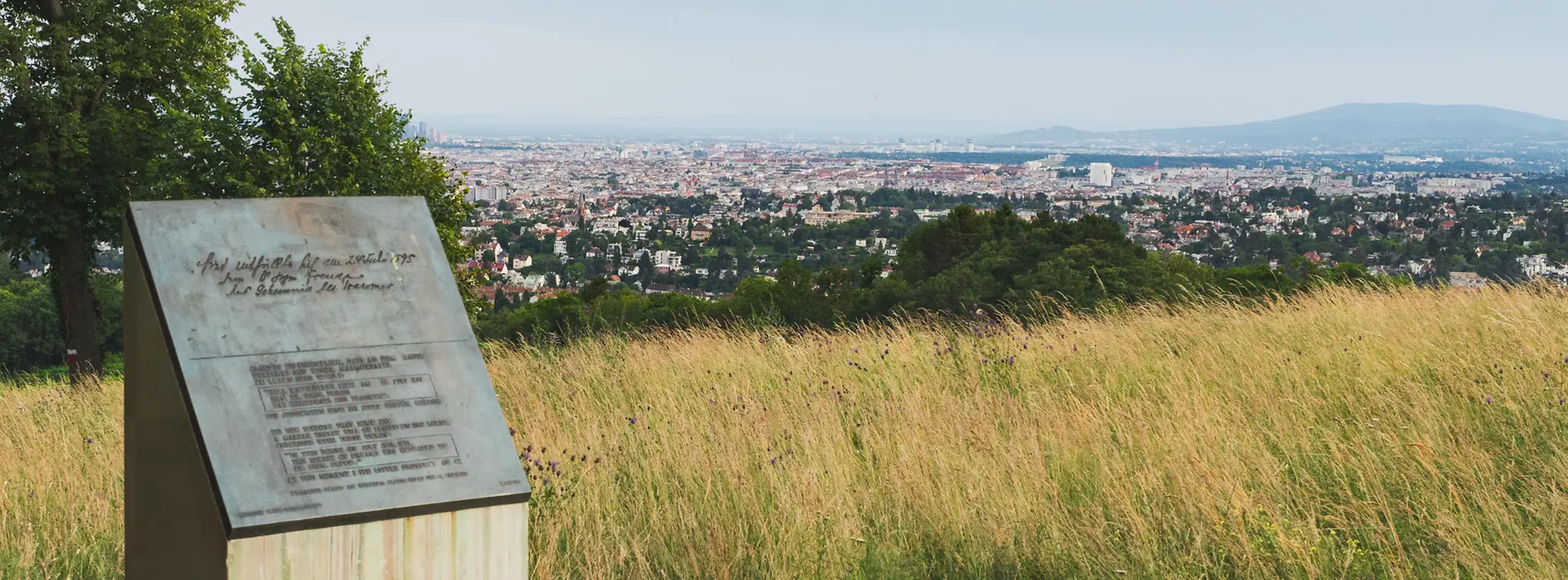 Bellevuewiese mit Blick über Wien