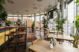 Helles Rooftop-Lokal mit großen Fenstern, vielen Pflanzen und Blick über die Stadt.