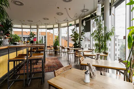 Helles Rooftop-Lokal mit großen Fenstern, vielen Pflanzen und Blick über die Stadt.