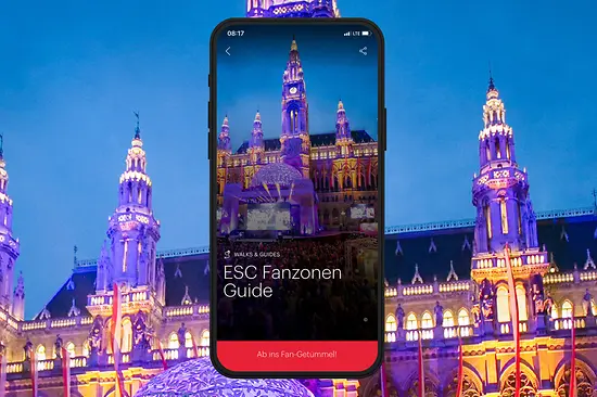 Werbe-Teaser mit Text: ESC Fanzonen Guide