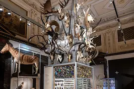 Natural History Museum, 150th Anniversary Special Exhibition Featuring Animal Objects