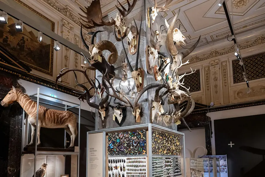 Natural History Museum, 150th Anniversary Special Exhibition Featuring Animal Objects