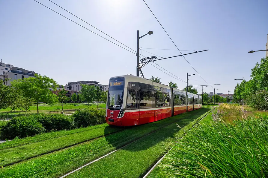 芝生軌道（草が生えた軌道）を走る最新型低床式路面電車