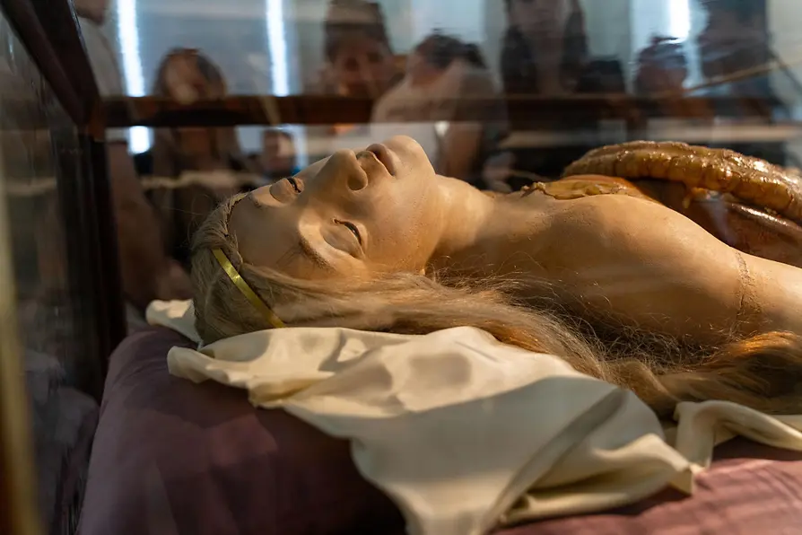 Maquette en cire d'un corps exposée dans une vitrine