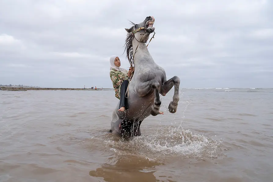 Fotografie \"Farīsāt: Gunpowder’s Daughters\", Pferd im Wasser mit Reiterin