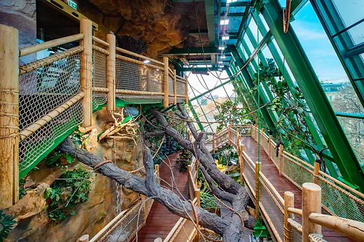 Haus des Meeres, Tropical House - view across the wooden pathway through the planted area of the Tropical House, with a view outside