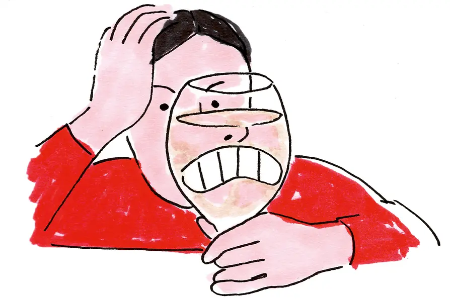 Illustration on the psychographic profile of Vienna’s residents