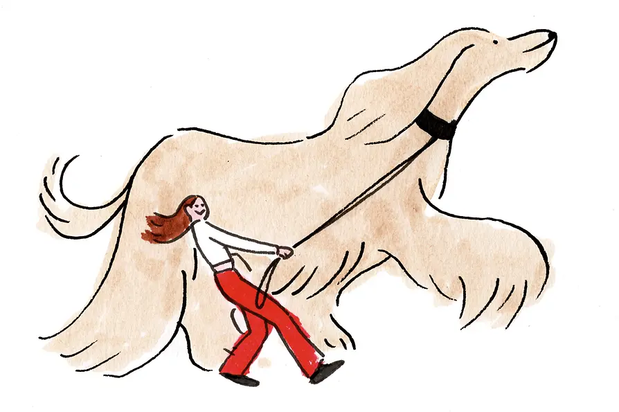 Illustration on the psychographic profile of Vienna’s residents