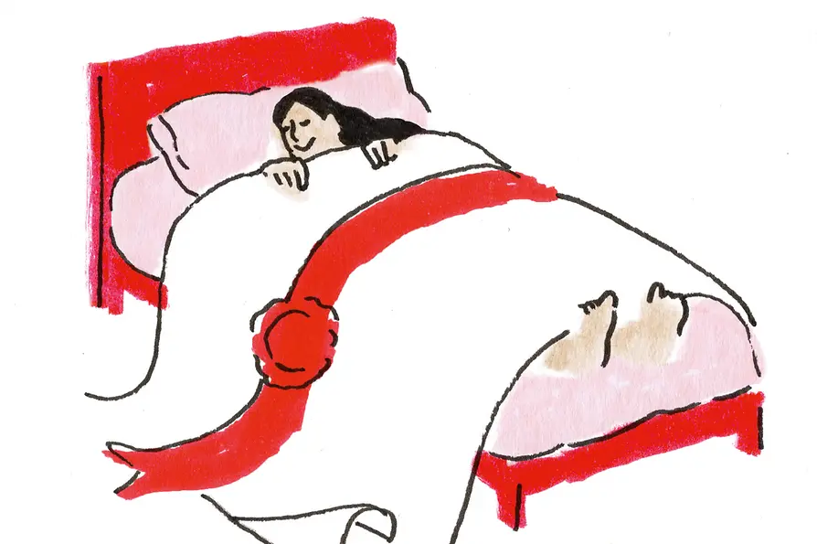 Illustration on the psychographic profile of Vienna’s residents