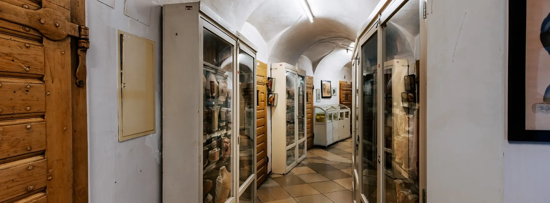 Collezione di Anatomia patologica nella Torre dei Folli