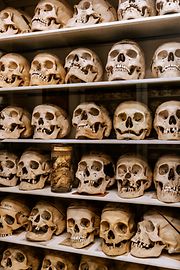 Pathologisch-anatomische Sammlung im Narrenturm