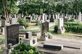 Zentralfriedhof