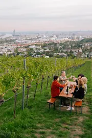 People drinking wine in vineyard