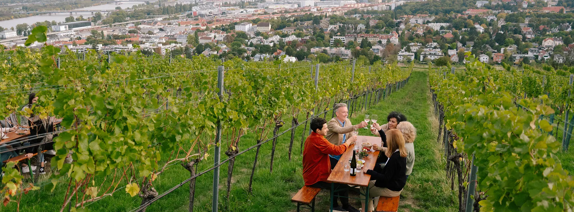 People drinking wine in vineyard