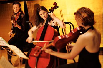 Trio de muzicieni care cântă la instrumente cu coarde în Sala de Sticlă a Organizaţiei Muzicienilor