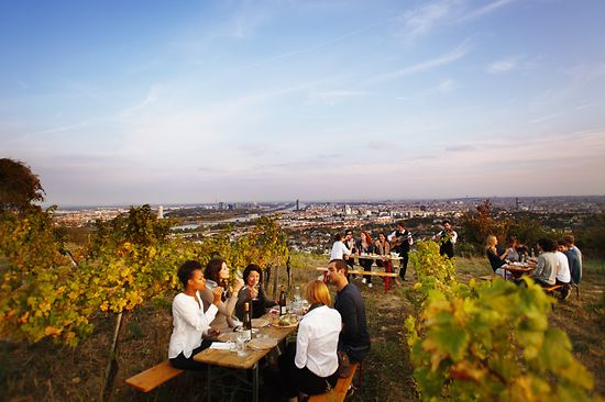 Lidé na vinicích s výhledem na Vídeň
