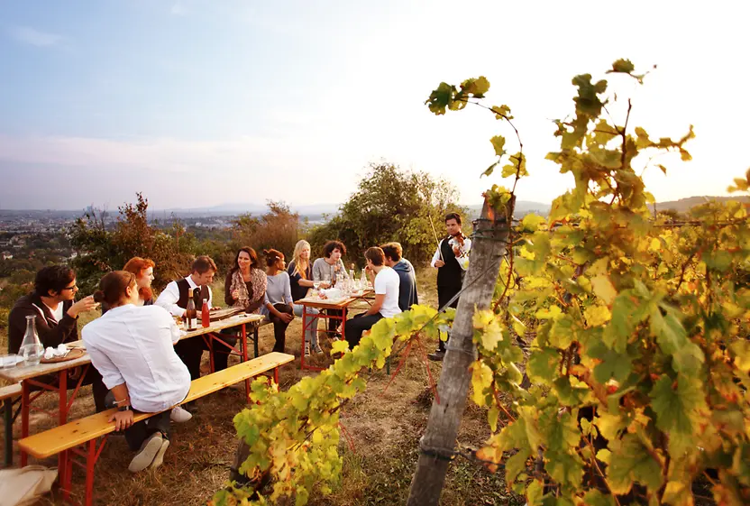 Young people drinking wine in vineyard