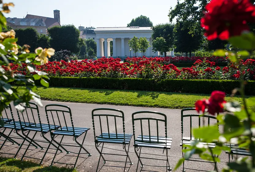 Letto di rose nel Volksgarten