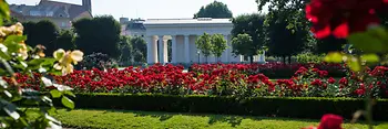 Parterre de roses dans le Volksgarten