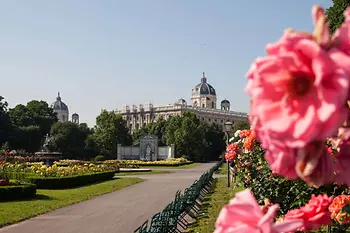 Flowers at Volksgarten