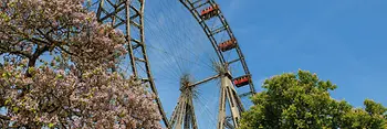 La Ruota panoramica 