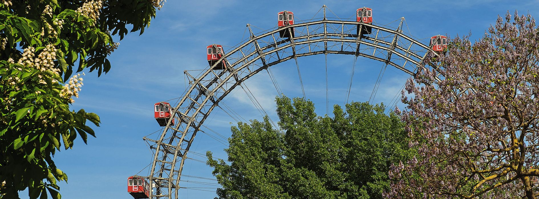Giant ferris wheel