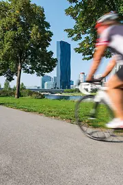 Cyclistes sur l'île du Danube