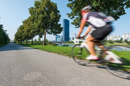 Ciclistas en la Isla del Danubio