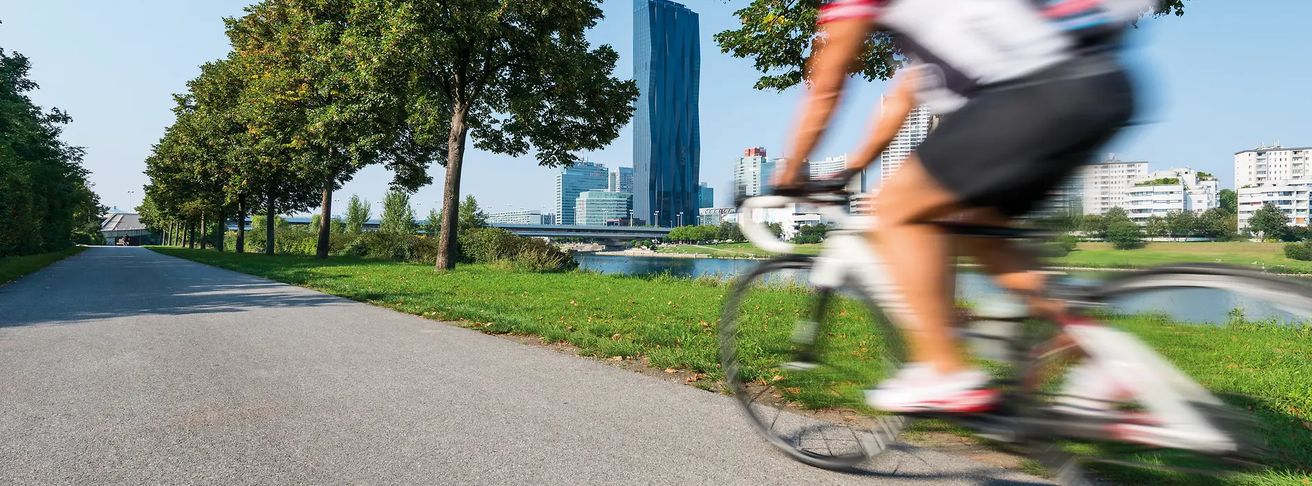 Cyclistes sur l'île du Danube