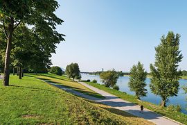 La Isla del Danubio, un paraíso para el tiempo libre