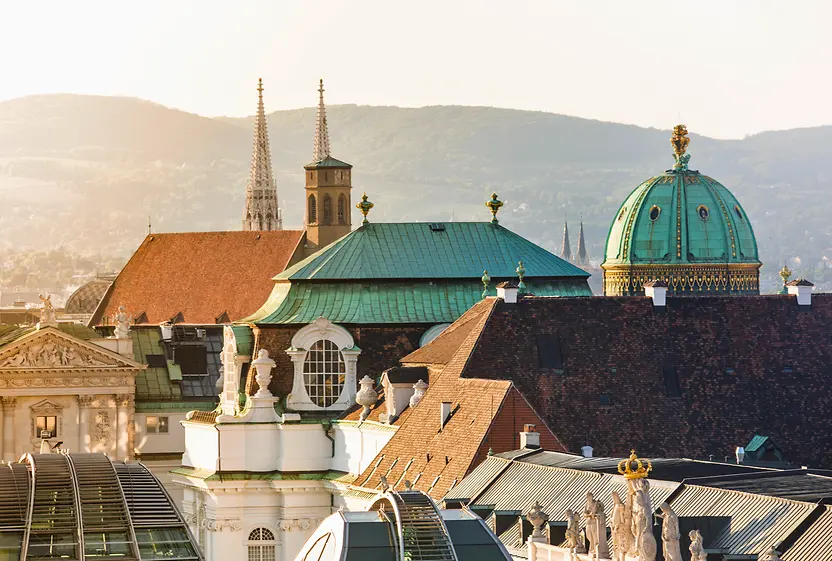 Vista de los tejados de Viena