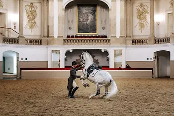 Ecole d’Equitation espagnole