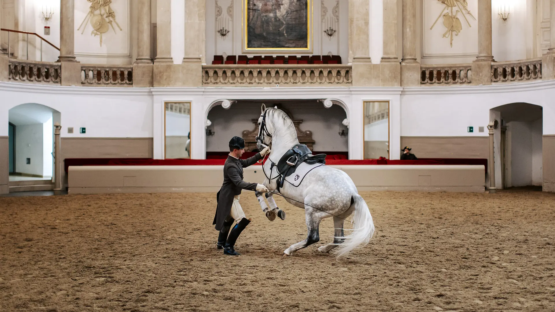 ウィーンのスペイン式宮廷馬術学校 - wien.info