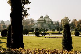 Seră de palmieri în parcul Palatului Schönbrunn 