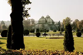 Serra delle Palme nel parco della reggia di Schönbrunn 