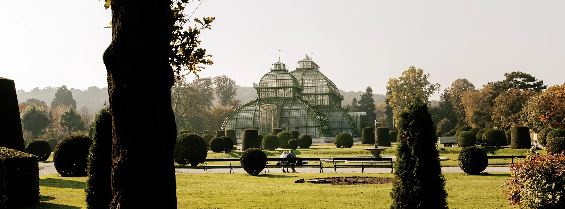 Seră de palmieri în parcul Palatului Schönbrunn 