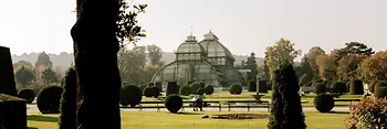 Serra delle Palme nel parco della reggia di Schönbrunn 