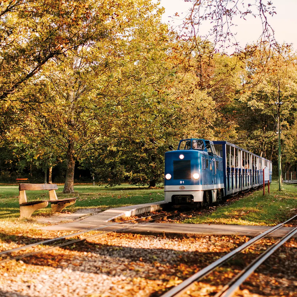 ランニング、サイクリング、保養に最適なウィーンのプラーター公園