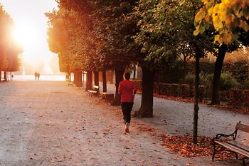 Un joggeur dans le parc du château de Schönbrunn