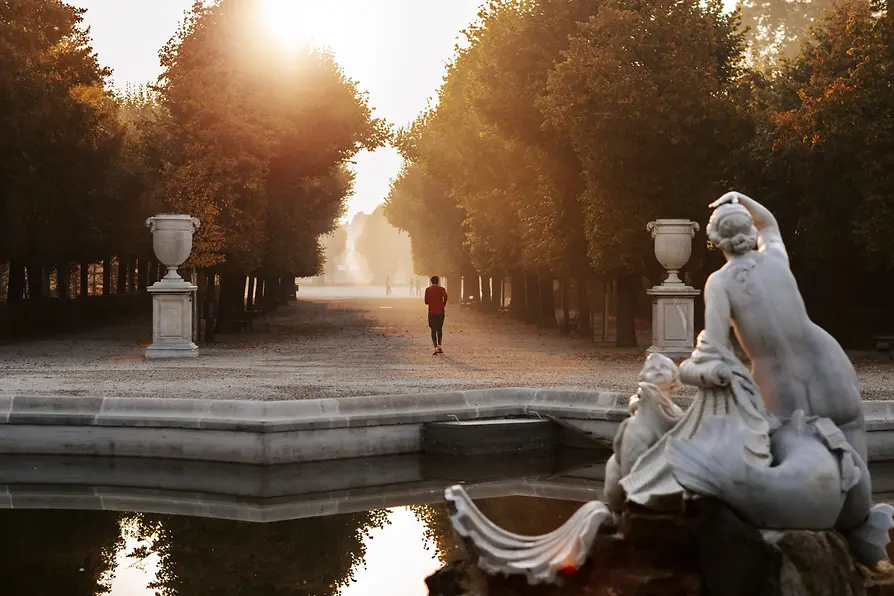 Un joggeur dans une allée du parc du château de Schönbrunn