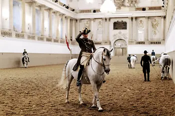 Scuola di Equitazione spagnola, Cavaliere in sella a un lipizzano