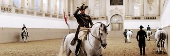 Scuola di Equitazione spagnola, Cavaliere in sella a un lipizzano
