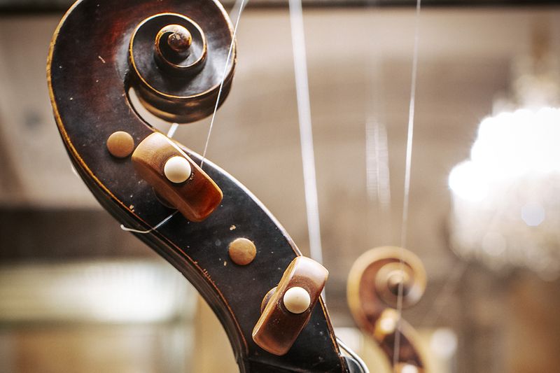 Sammlung alter Musikinstrumente, Violine, Hals und Schnecke