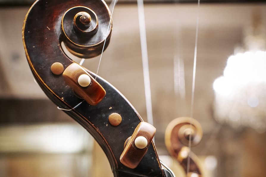 Collezione di Strumenti musicali storici, violino, manico e riccio
